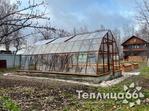Теплица Рада Енисей под стекло, ширина 4 метра